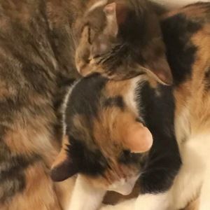 Meet your Posher, Dwayne